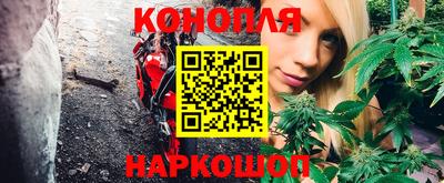 герыч Кингисепп