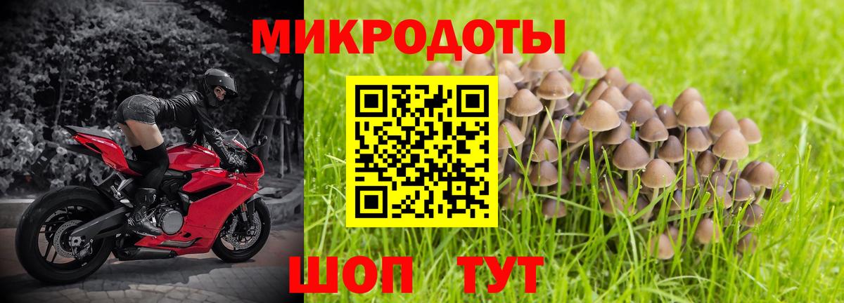 Галлюциногенные грибы ЛСД Балтийск