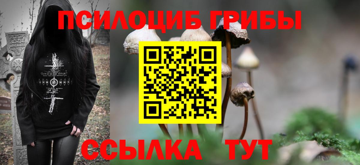 Балтийск  Псилоцибиновые грибы GOLDEN TEACHER  что такое   Вход с VPN 